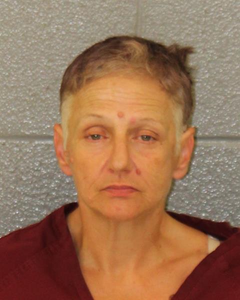 Tonia Lewis booking photo