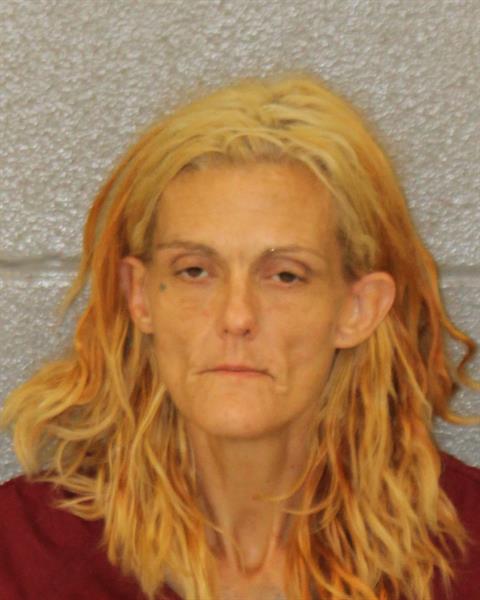 Kendall Wentz booking photo