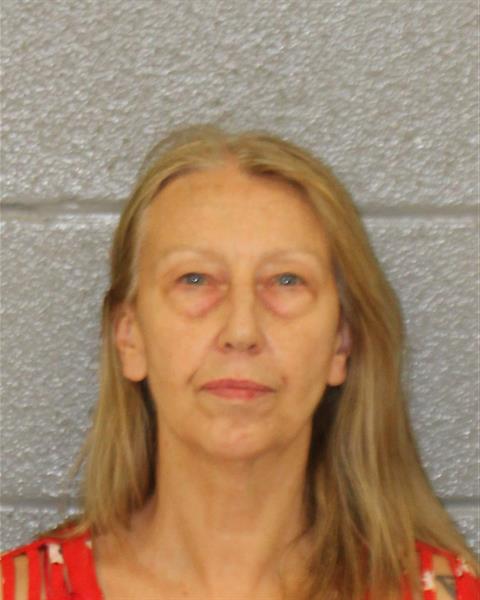 Michelle Canipe booking photo