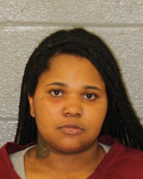 Destyni Bridges booking photo
