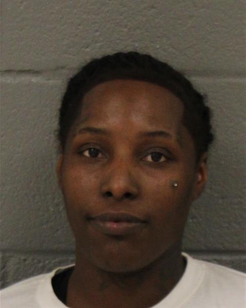 Shyvasher Guest booking photo