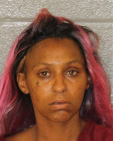 Cheyenne Hines booking photo