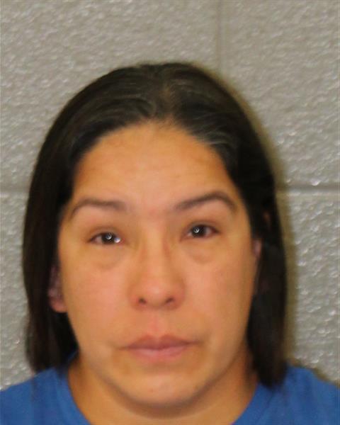 Heidi Adanez-ochoa booking photo