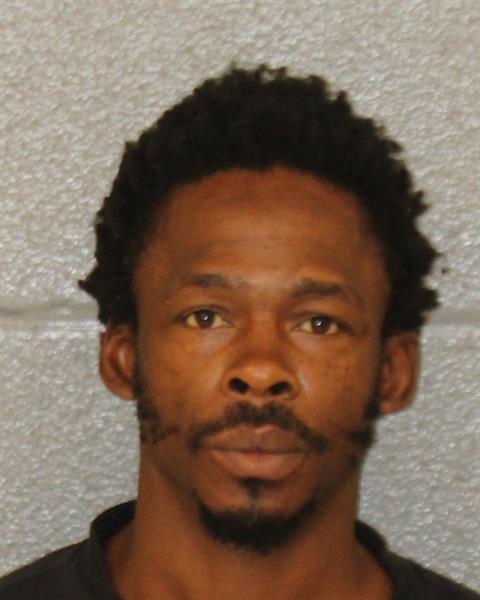 Bruce Bruce booking photo