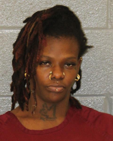 Booking photo of Michelle Newkirk