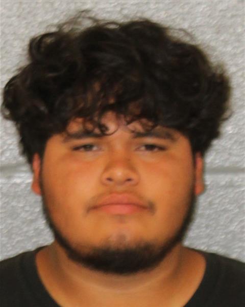 Booking photo of Mario Galvan-cabriales