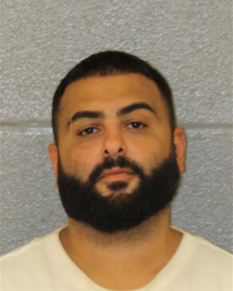 Booking photo of Amir Motamedi