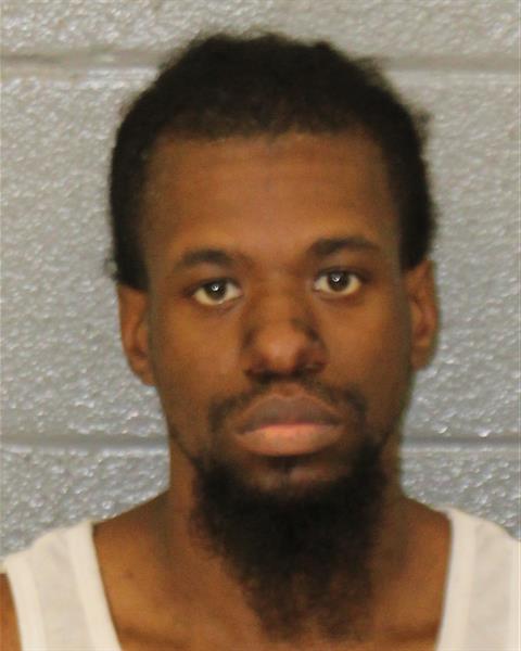 Booking photo of Leslie Anderson