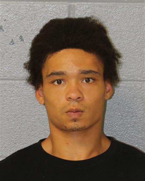 Booking photo of Javannie Jones
