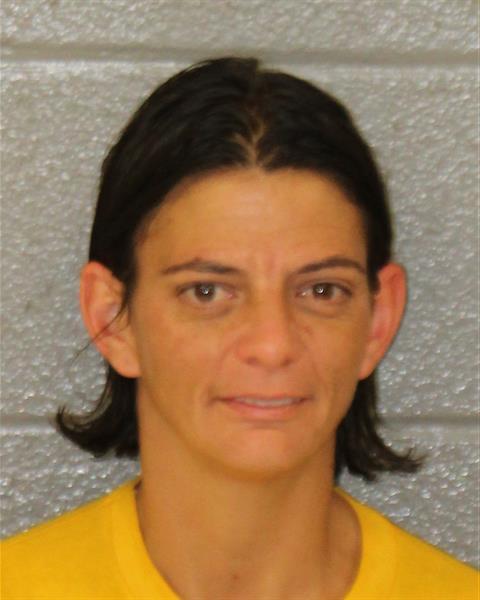 Booking photo of Heather Evans