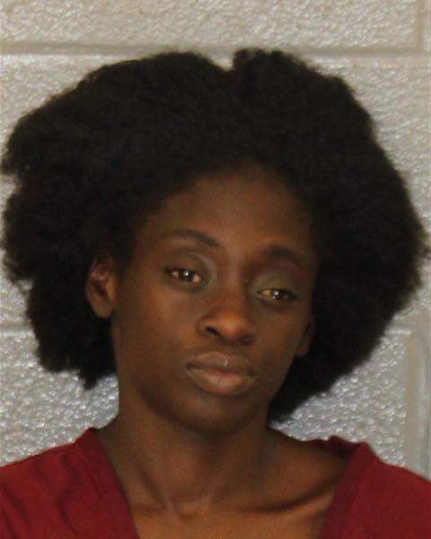 Booking photo of Italia Stywall