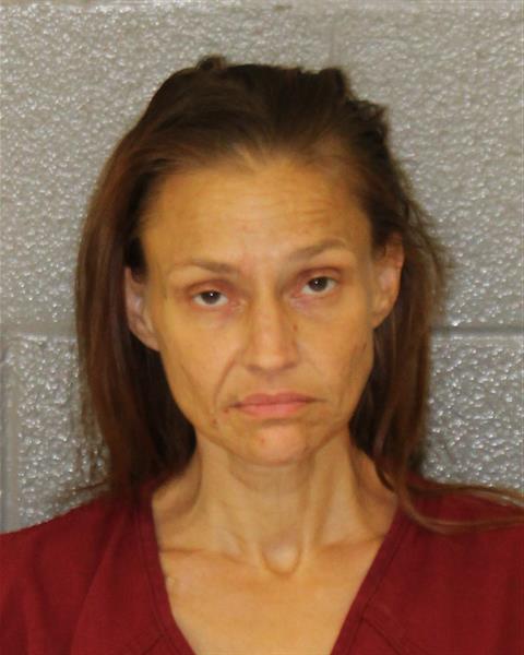 Booking photo of Heather Lennon