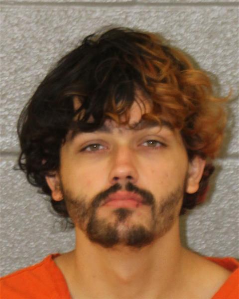 Booking photo of Michael Allison