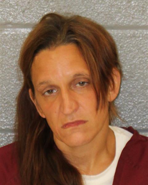 Booking photo of Erin Anderson
