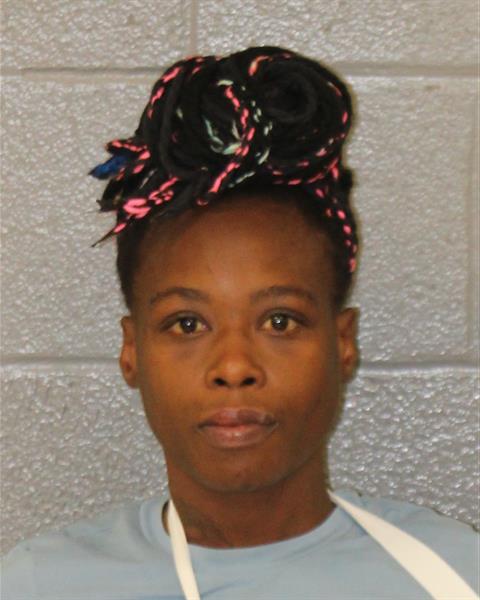 Booking photo of Bianca James