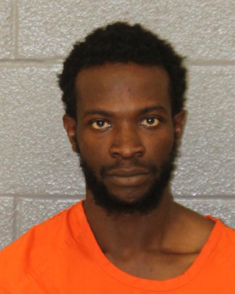 Booking photo of Ifeoluwani Fawehinmi