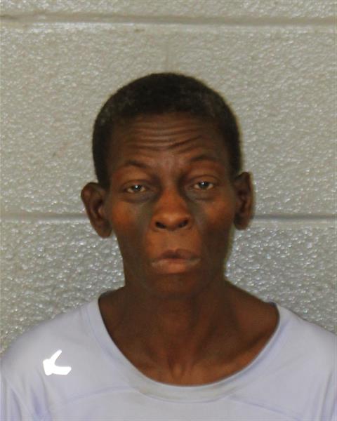 Booking photo of Christina Graham