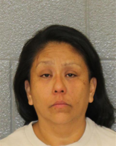 Booking photo of Juana Castillo-aguilar