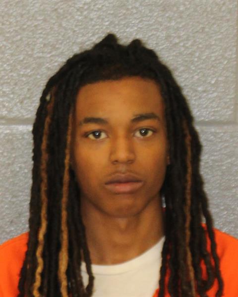Booking photo of Iran Green