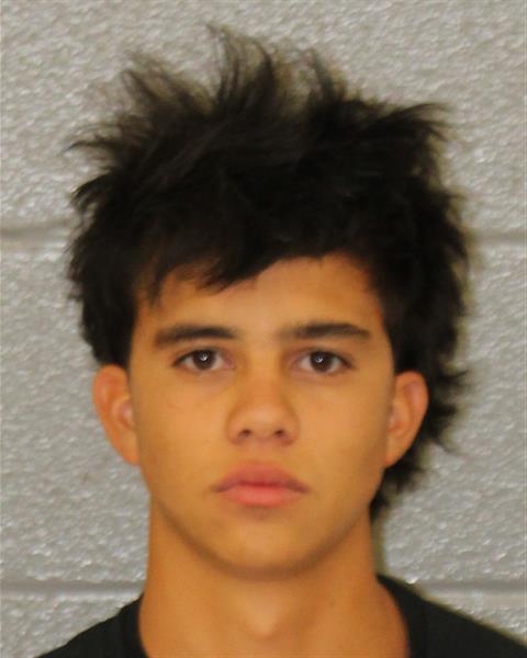 Booking photo of Chase Turner