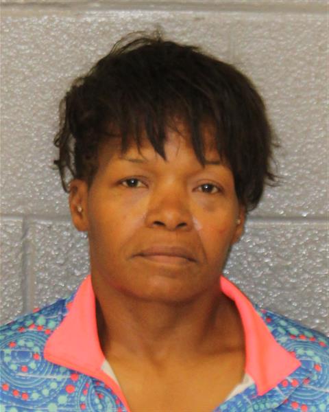 Booking photo of Anita Pearson