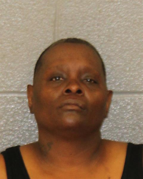 Booking photo of Renita Hanes
