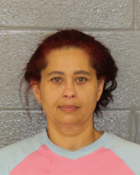 Booking photo of Lisandia Morales-lopez