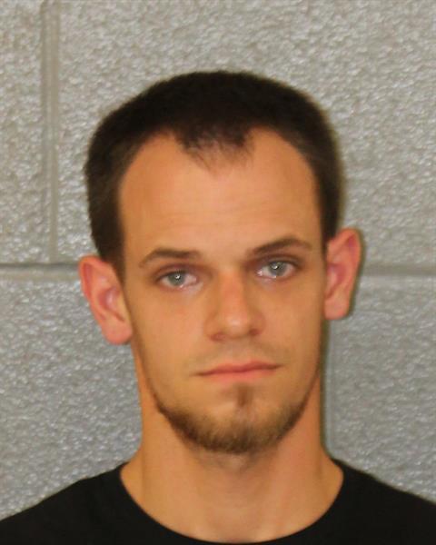 Booking photo of Tristan Watson