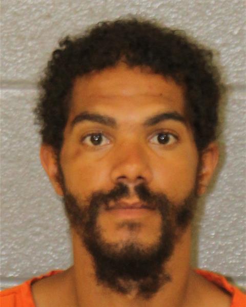 Booking photo of Sergio Grugan