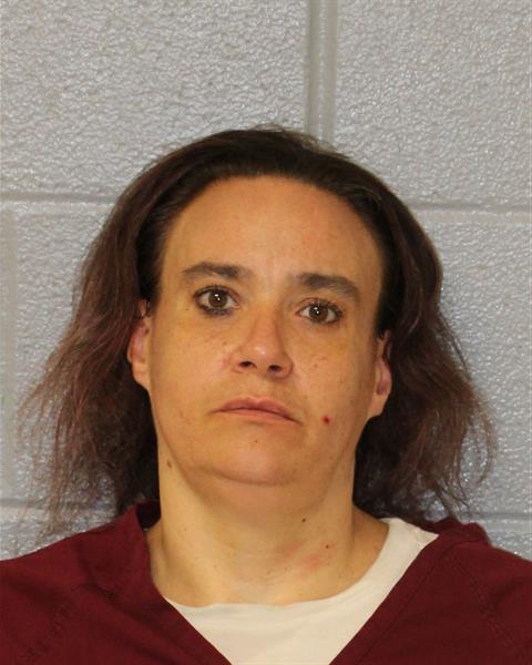 Booking photo of Jamie Schneider
