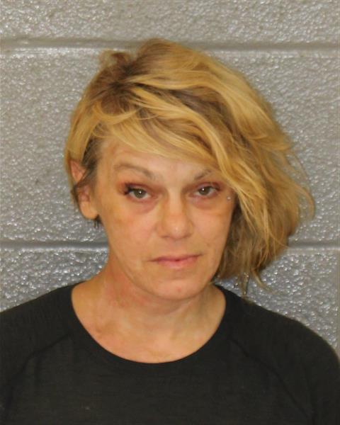 Booking photo of Brandi Boggs
