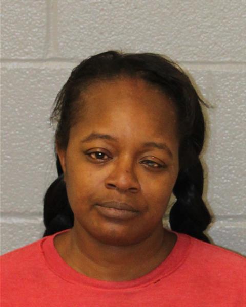 Booking photo of Troya Perry