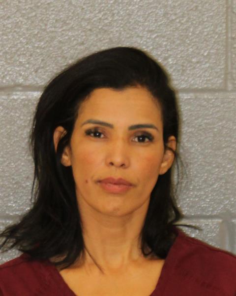 Booking photo of Lilian Tomaz-de-almeida