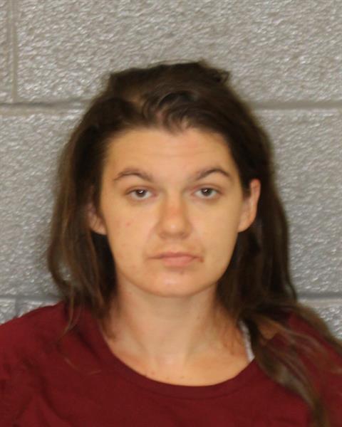 Booking photo of Shana Johnson
