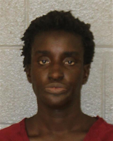 Booking photo of Aminata Sylla