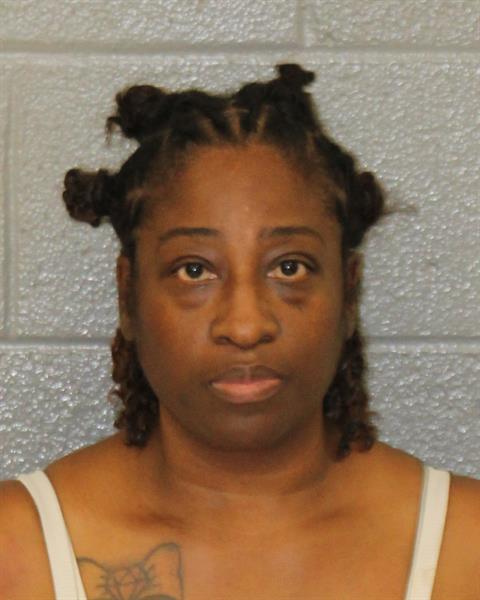 Booking photo of Sylvia Williams