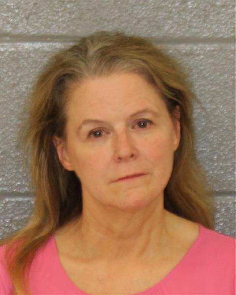 Booking photo of Stephanie Sneed