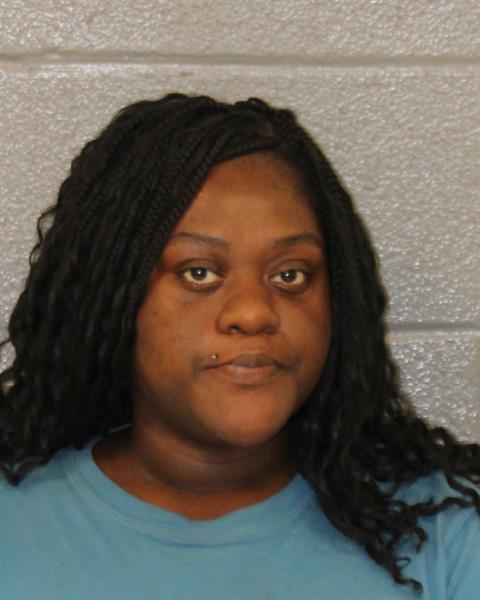 Booking photo of Raven Womic