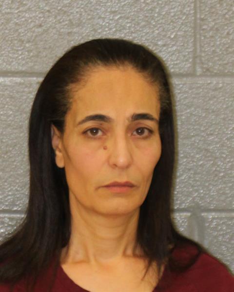 Booking photo of Wafa Saad