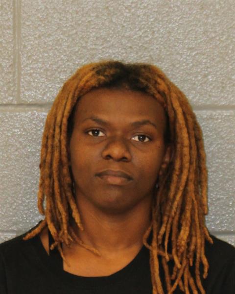 Booking photo of Msmichella Lucas-gamble