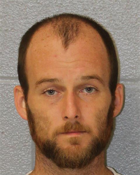 Booking photo of Dallas Mcsheehan