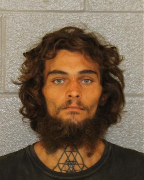 Booking photo of Nazariy Lewis