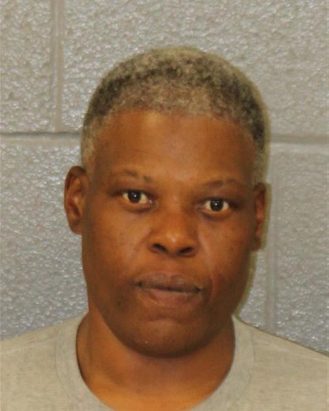 Booking photo of Afton Everett