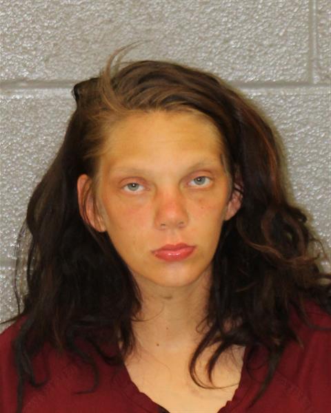 Booking photo of Haley Johnson
