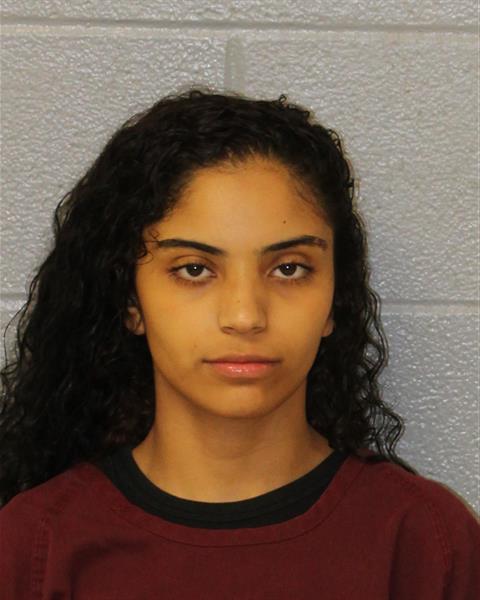 Booking photo of Ameena Williams