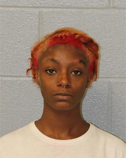 Booking photo of Brianna Flowe