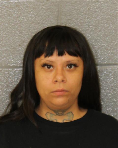 Booking photo of Mariany Castillo