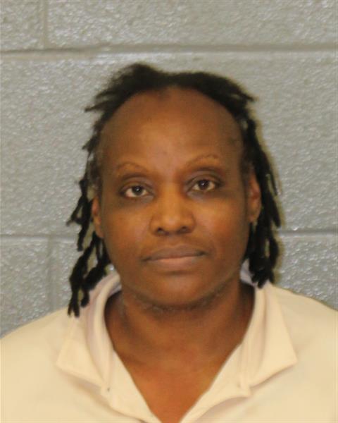 Booking photo of Erica Carlton