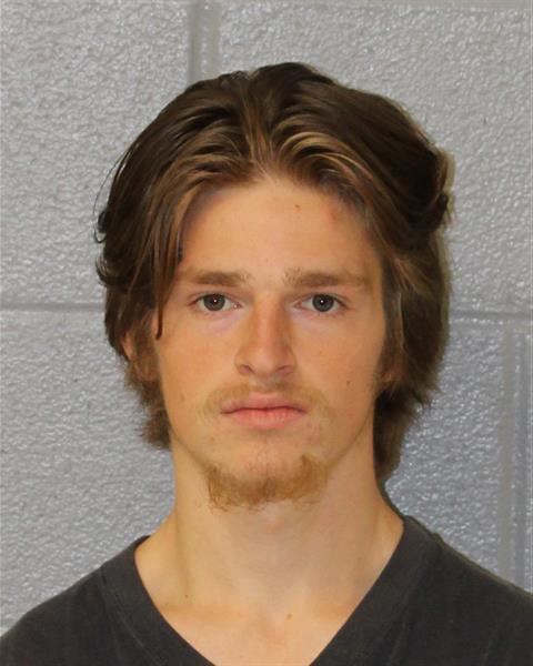 Booking photo of William Mcginnis