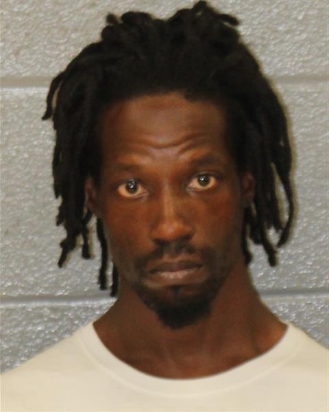 Booking photo of Dion Johnson